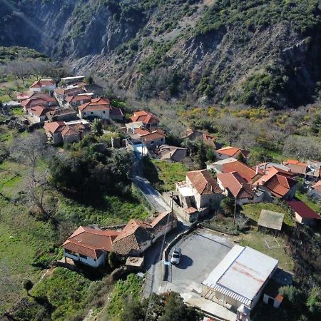 Thanasis House 蒂米萨那 外观 照片