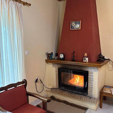 Thanasis House 蒂米萨那 外观 照片