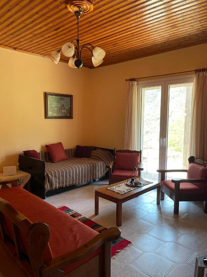 Thanasis House 蒂米萨那 外观 照片