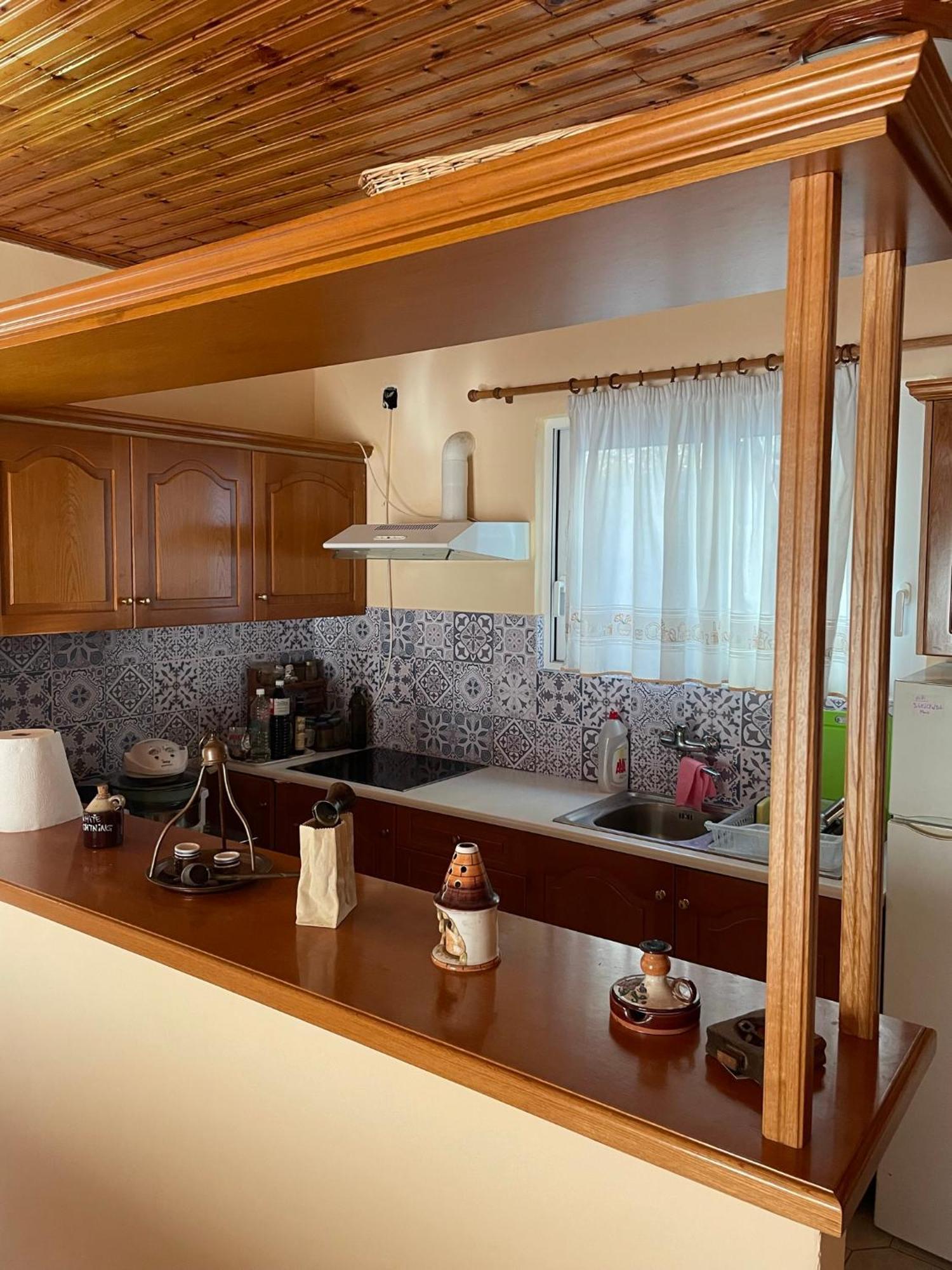 Thanasis House 蒂米萨那 外观 照片