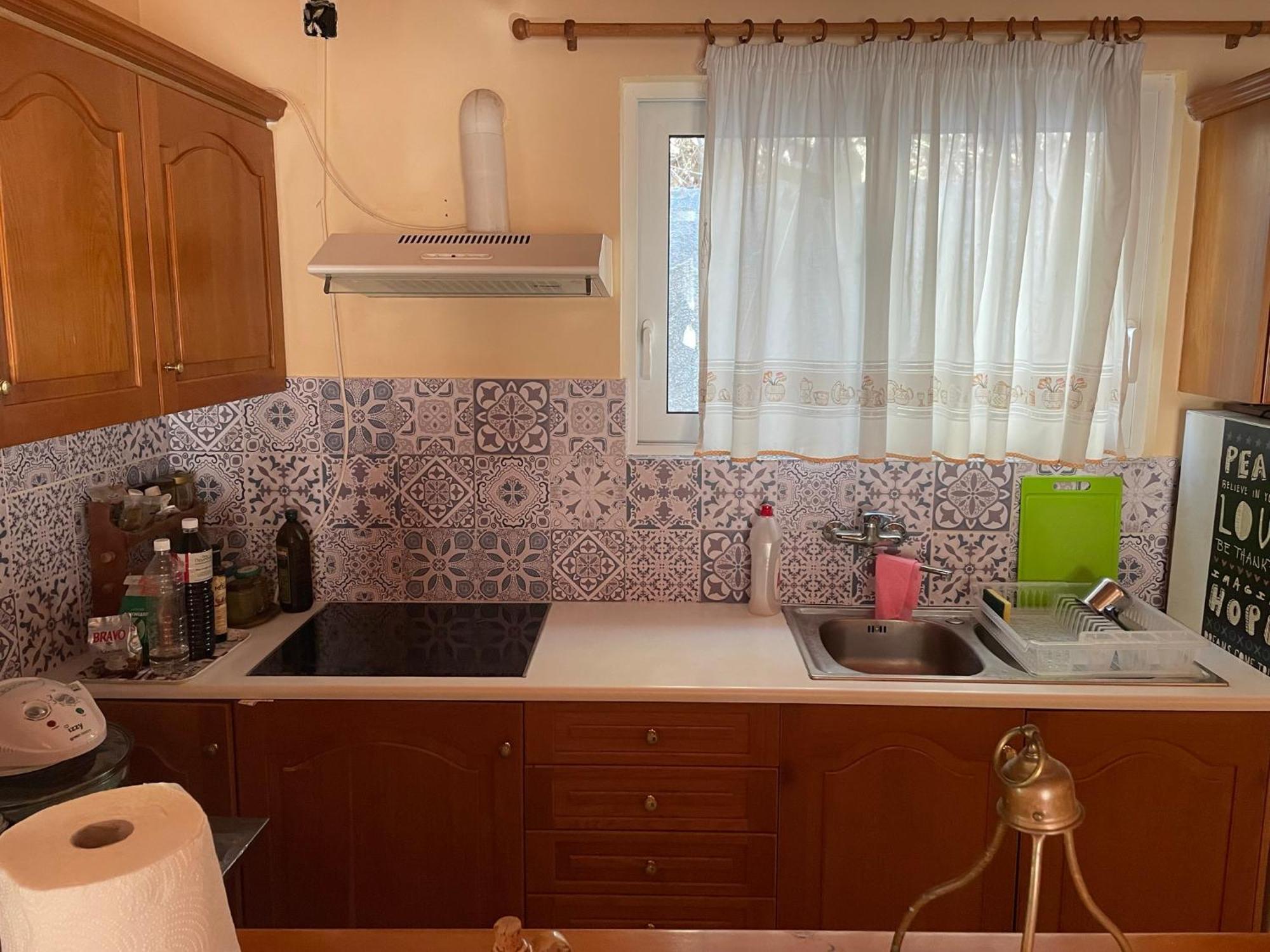 Thanasis House 蒂米萨那 外观 照片