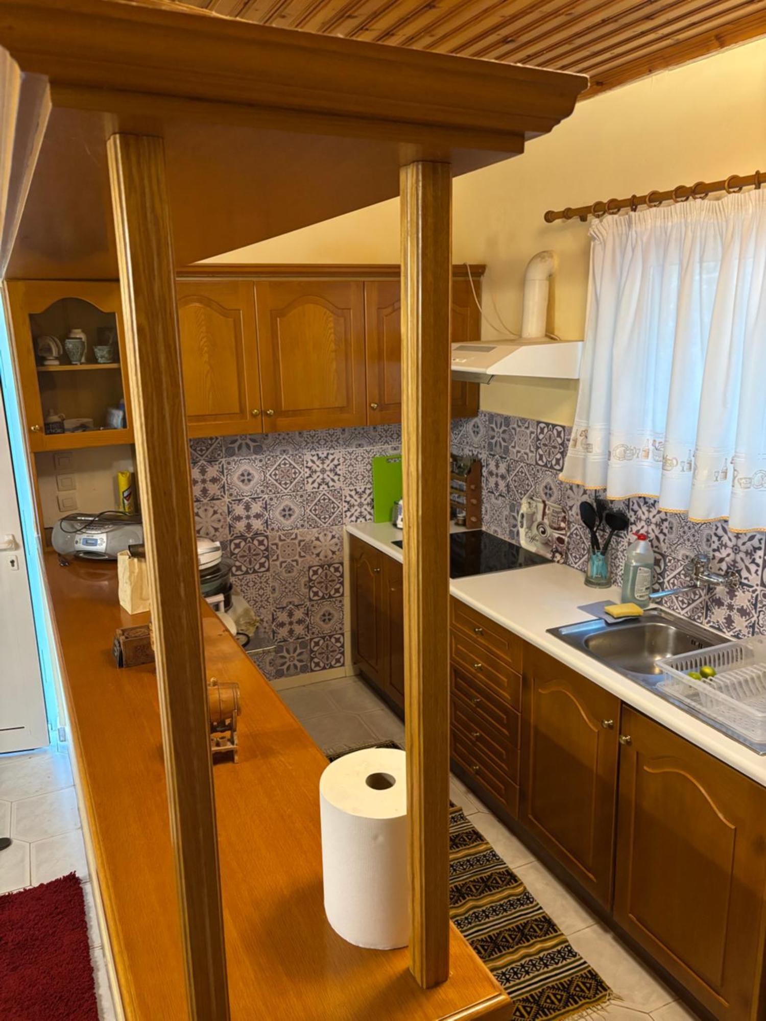 Thanasis House 蒂米萨那 外观 照片