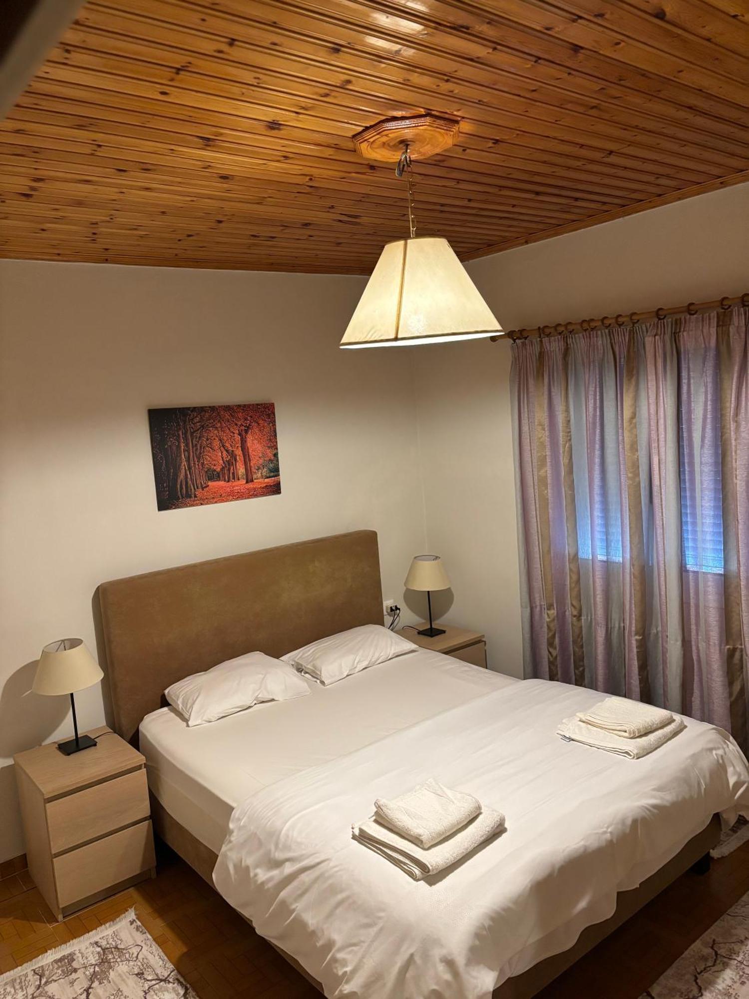 Thanasis House 蒂米萨那 外观 照片