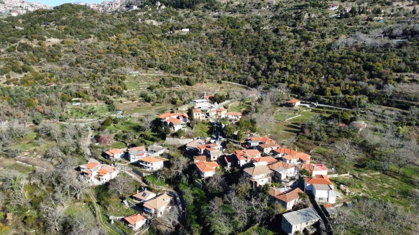 Thanasis House 蒂米萨那 外观 照片