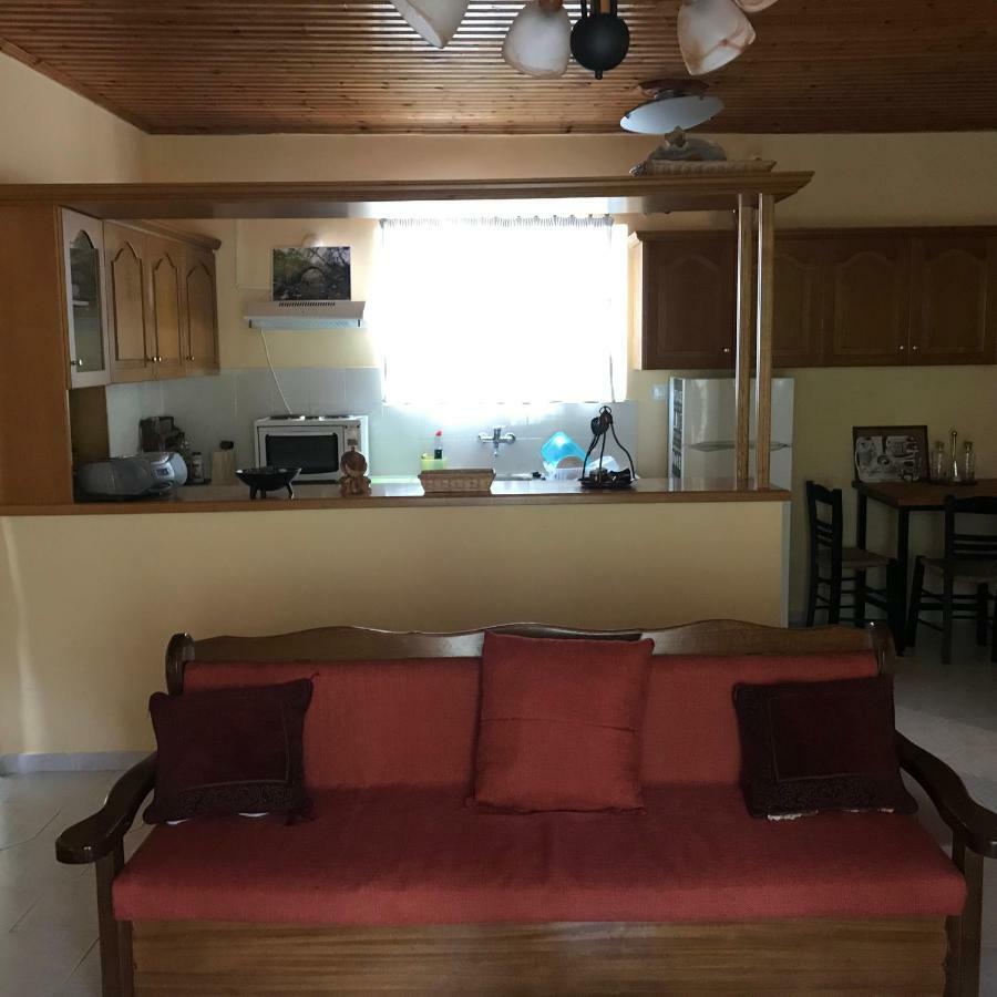 Thanasis House 蒂米萨那 外观 照片