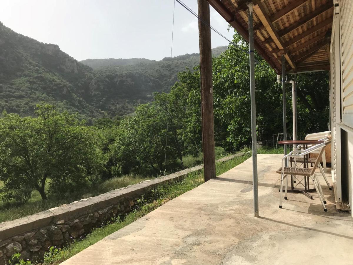 Thanasis House 蒂米萨那 外观 照片